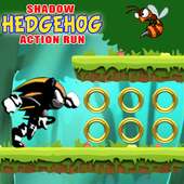 The Shadow Hedgehog Action Run