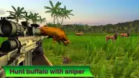 Sniper Hunting Jungle Animals Screen Shot 3