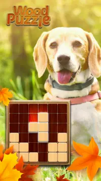 Wood Block 1010 Puzzle Game Screen Shot 0