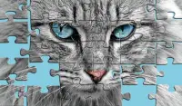 Große Puzzle mit Katzen Screen Shot 0