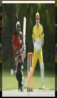 Juegos de Críquet Screen Shot 2