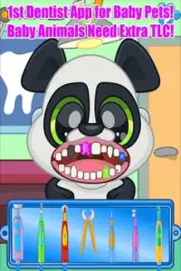 Baby Animal Pet Dentist Doctor Dog & Cat Pets Game Screen Shot 2
