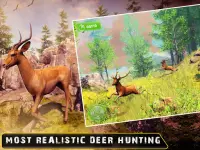 Wild Hunter Games - Animal Shooting Simulator Screen Shot 11