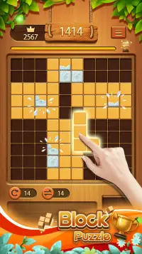 Classic Block Puzzle——Wood Block Puzzle Game Screen Shot 3