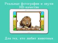 Kids Zoo, игры про животных Screen Shot 18