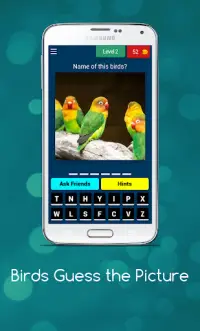 Bird Quiz: Feather Fun Trivia Screen Shot 7