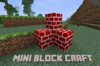 Mini Block Craft 2021 Screen Shot 0