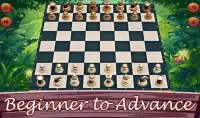 Jugar al maestro de ajedrez Screen Shot 1