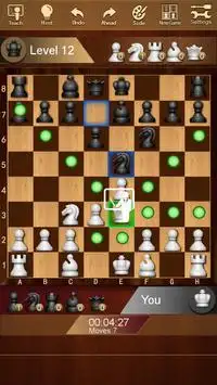 Шахматы Screen Shot 1