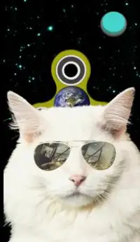 Fidget Spinner: Space Cats Screen Shot 1