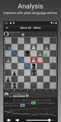 SocialChess - Online Chess Screen Shot 1