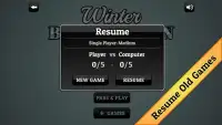 Winter Backgammon Screen Shot 4