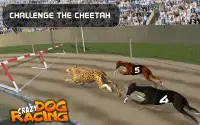 Crazy Dog Racing Screen Shot 2