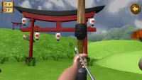 Archery Hit Screen Shot 2