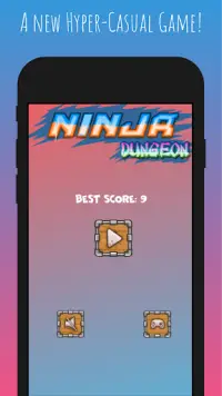 Ninja Dungeon : Ghost Hunt Screen Shot 0