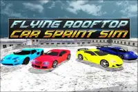 Flying Rooftop Car Sprint Sim Screen Shot 4