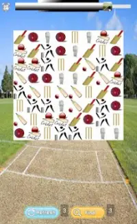 C for Cricket Screen Shot 1