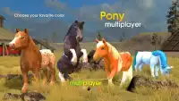 Pony Multiplayer Screen Shot 0