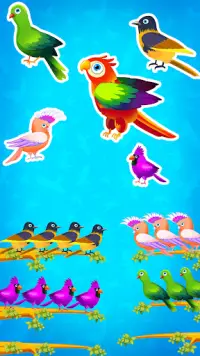 Color Bird Sort Puzzle Games Screen Shot 2