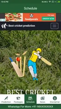 IPL Cricket Prediction Screen Shot 1