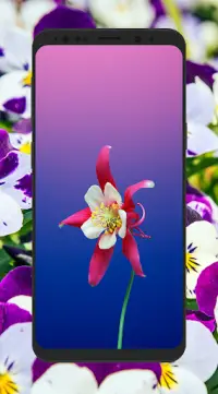 HD 3D Flower Wallpapers 4K background Screen Shot 5