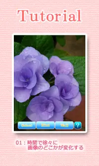 Landscapes of the flower Screen Shot 1