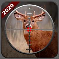 Wild Hunting 3d: Giochi di caccia agli animali