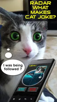 Radar Ce qui fait Cat Joke Screen Shot 0