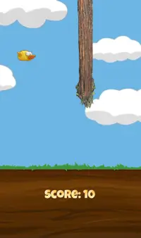 ReynaBirds – Bird Adventure Game Screen Shot 4