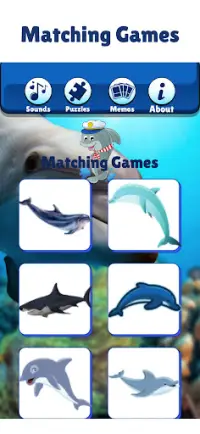 Masaya Dolphin Show Laro Para Screen Shot 3