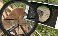 Wild Animal Sniper Hunting 3D Screen Shot 3