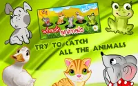 Catch the Animals for kids Screen Shot 0