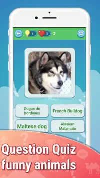 Dog Quiz Devinez les noms des chiens ❓🐕⁉🐶❤ Screen Shot 5