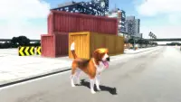 Hound Dog Simulator Screen Shot 14
