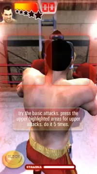 Iron Fist Boxing Lite : The Original MMA Game Screen Shot 0