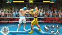 Punch Boxing Game: Ninja Fight Screen Shot 3