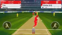 Play Cricket Screen Shot 1