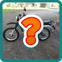 Simson Quiz