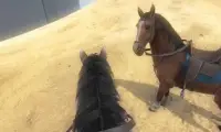Horse Simulator : Cowboy Rider Screen Shot 2