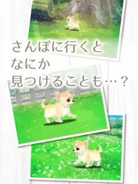 癒しの子犬育成ゲーム〜チワワ編〜 Screen Shot 13