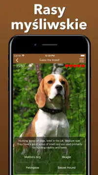 Rasy psów zgadują quiz o psach! Wszystkie psy! Screen Shot 5
