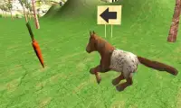 Caballo lindo Pony Simulador Screen Shot 3