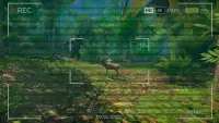 Bigfoot Finding & Hunting Survival Game Screen Shot 13