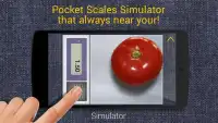 Pocket Scale Simulator 2 Screen Shot 0