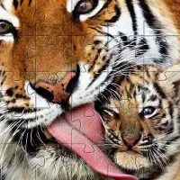 Juegos de Rompecabezas  Tigres Screen Shot 1