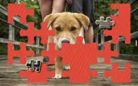 子犬のジグソーパズル無料 Screen Shot 9