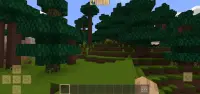 Minicraft: Block World Screen Shot 0