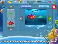 Dream Fish Screen Shot 10