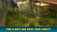 Turtle Simulator: House Life Screen Shot 2