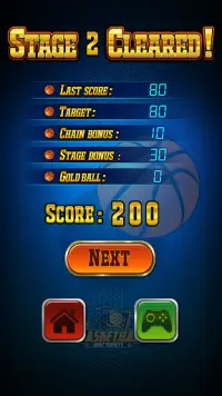 Basketball Screen Shot 5